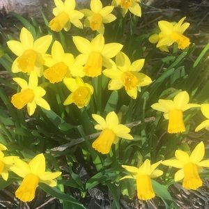 Meet your Posher, Brenda